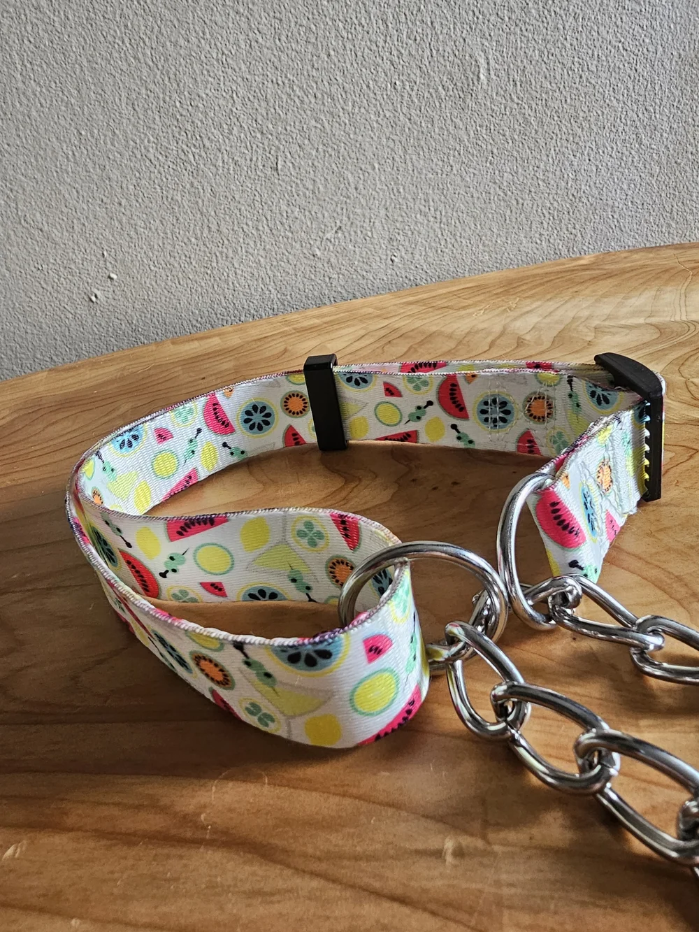 Colorful Fruit Print Martingale Dog Collar